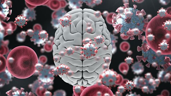 Цифровое изображение клеток Covid-19 и человеческого мозга