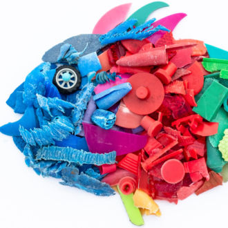 Multicoloured pieces of plastic are arranged in the shape of a fish.