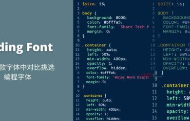 Coding Font - 从 27 款字体中对比挑选编程字体 24