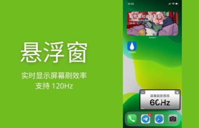 悬浮窗 - 实时显示屏幕刷效率，高刷检测是否支持 120Hz[iPhone] 26