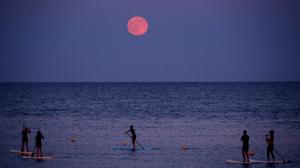 Paddleboarders below the strawberry moon at Barceloneta beach, Barcelona, Spain. 