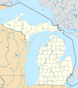 Rich Township is located in Michigan