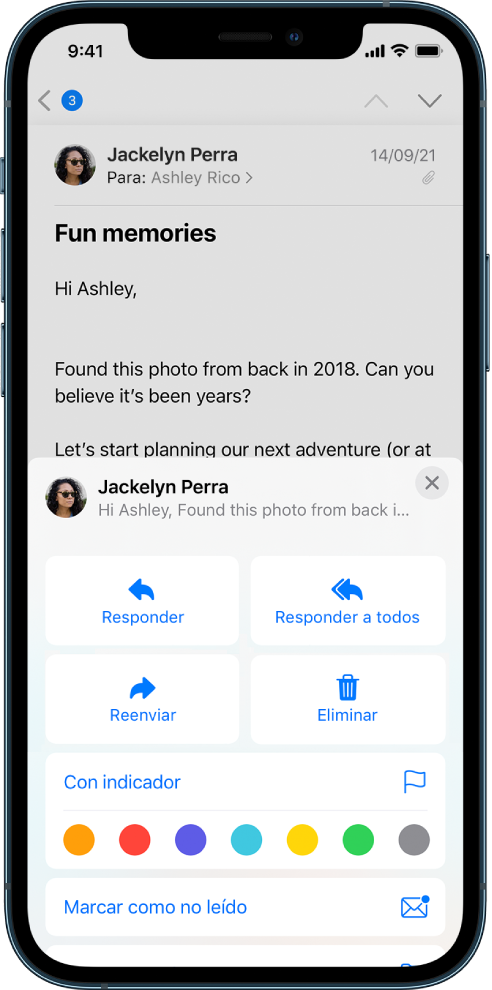 Un correo mostrando opciones para responder en la parte inferior. Debajo de estas opciones están las opciones de colores para los indicadores.