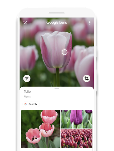 Google Lens-UI