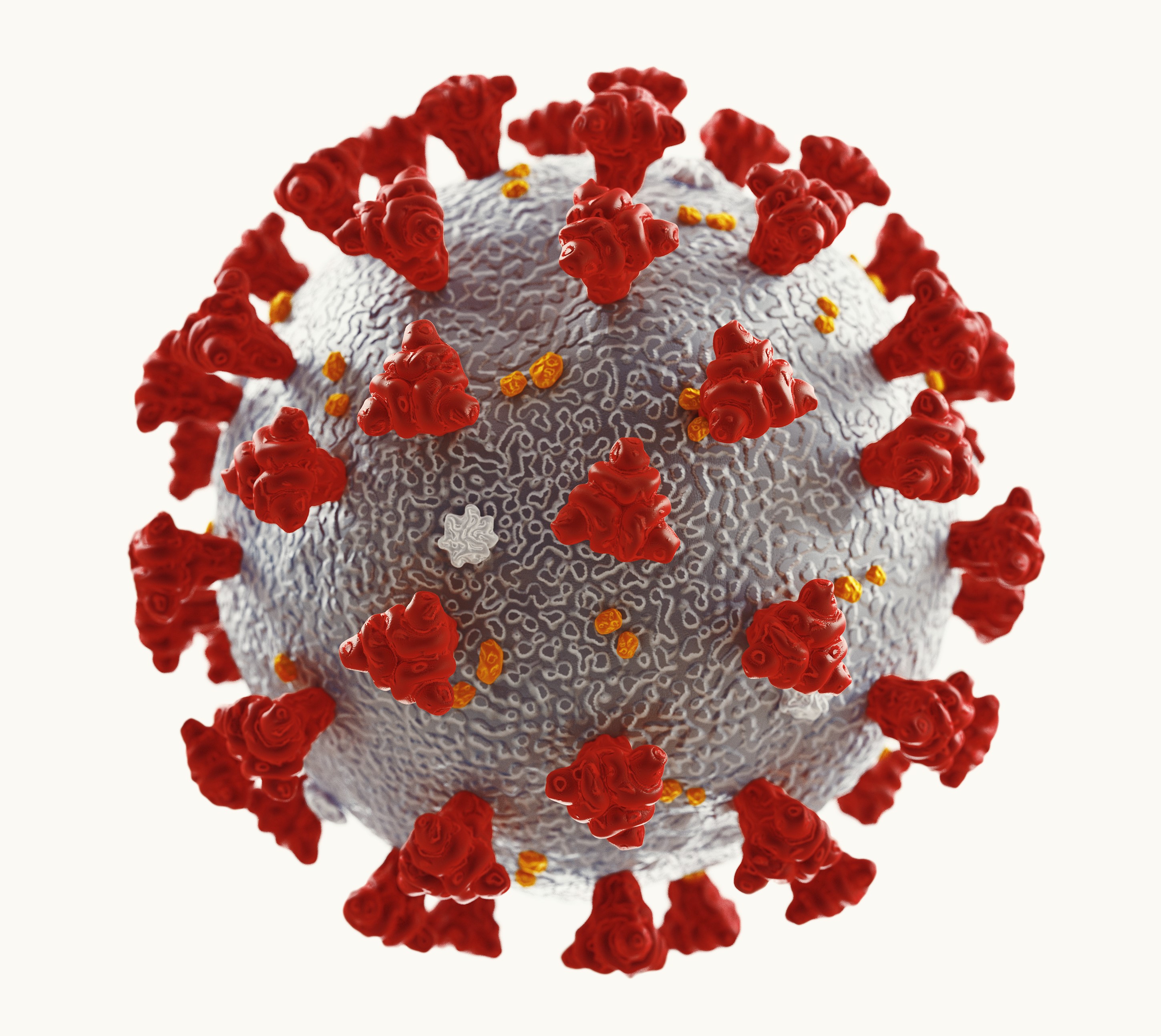 image of a virus