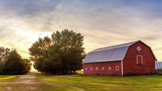 Red barn with sunset behind two tree in the background