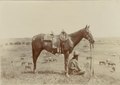 The horse wrangler.tif