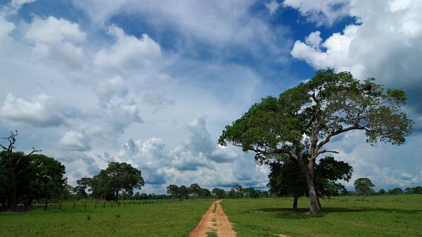 Road in Mato Grosso, Brazil