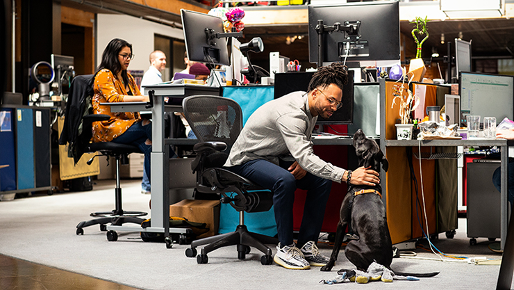 Foto di un'area di lavoro open space con una persona che accarezza un cane