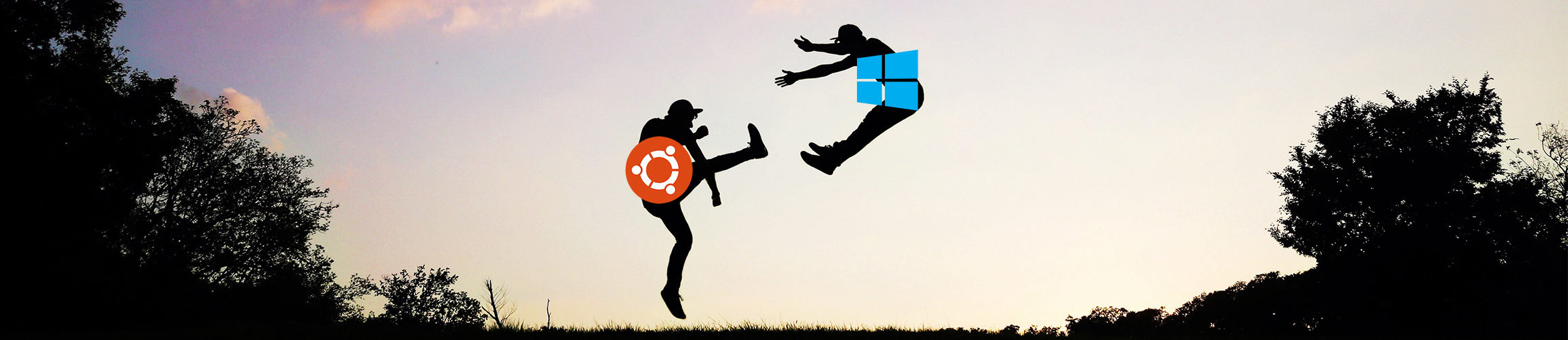 Windows vs Ubuntu