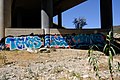 Socal Graffiti Hunting - (June 11th 2021) (51256058318).jpg