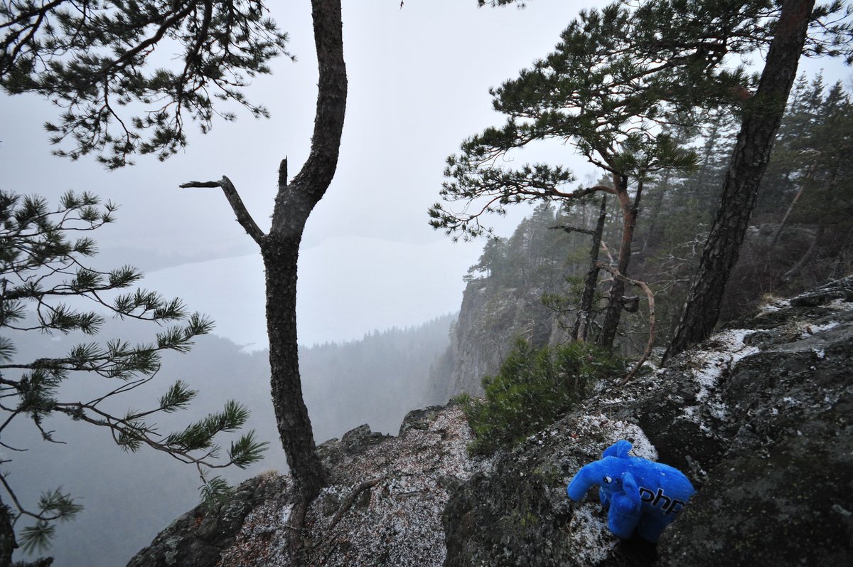 Elephpant looking out over a foggy valey from a cliff