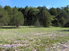 Photograph of a cedar glade, a rare ecosystem found in Middle Tennessee