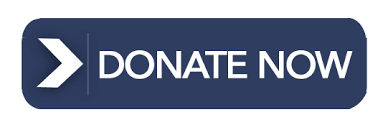 donate now button