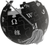 Wikipedia-Test Administrator.png