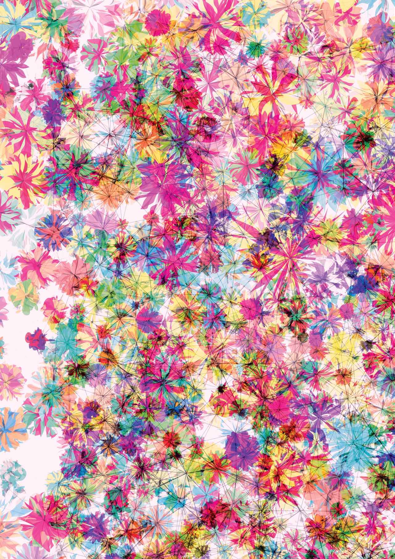 Image of fractal, colorful flower-like elements.