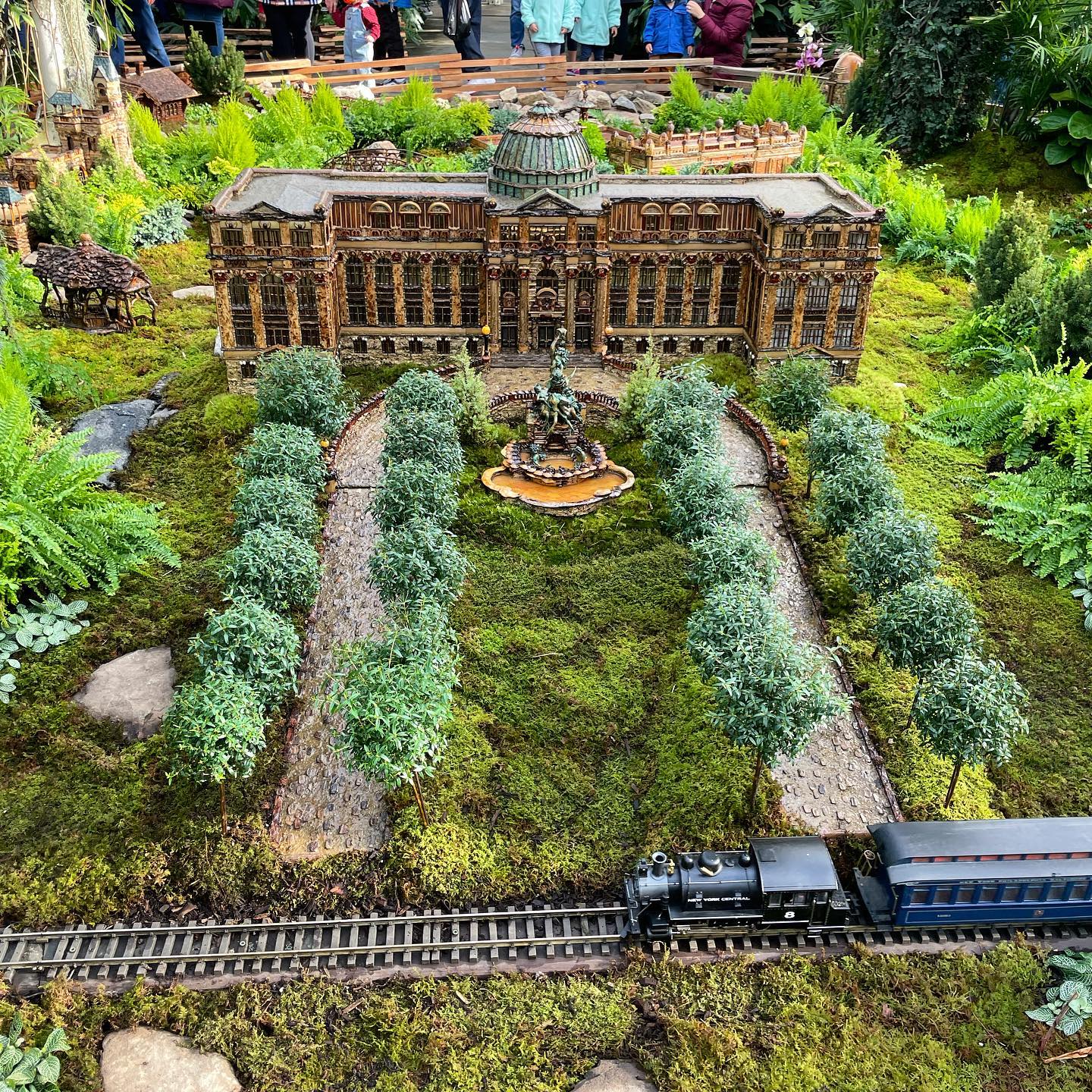 a close up of a flower garden