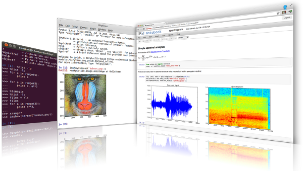 IPython clients