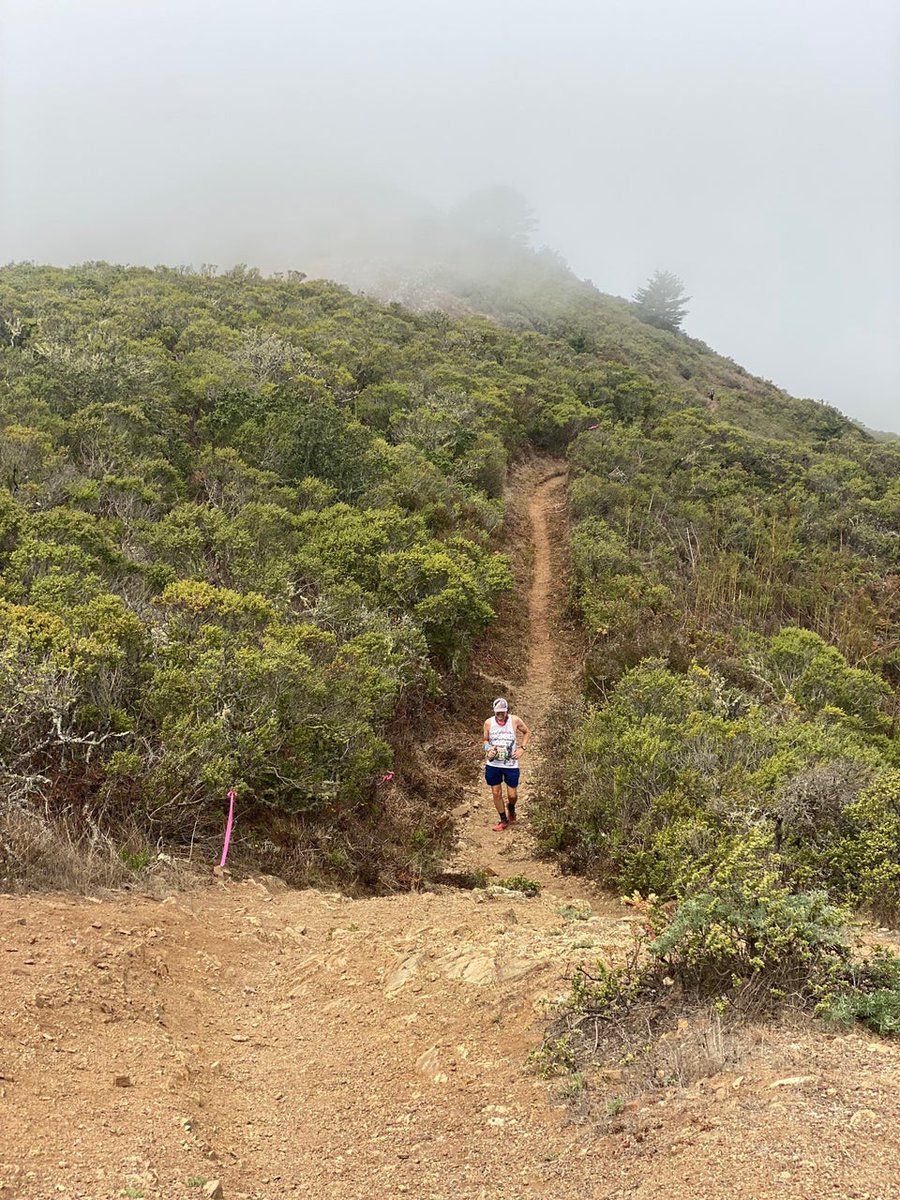 Fogged-in view of a lush green hillside, narrow singletrack trail cutting up from the...