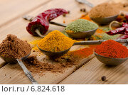 Selection of dried spices and chilli . Стоковое фото, фотограф Tatjana Baibakova / Фотобанк Лори