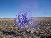 Making a splash: Photos capture colorful liquids frozen in time