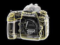 Opinion: Why Small Changes Make a Big Difference to Nikon's D810