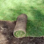 Install Sod