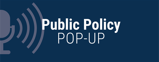 Public Policy Pop-Up: The Year in Higher Education Policy