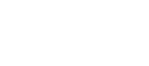 WordPress VIP