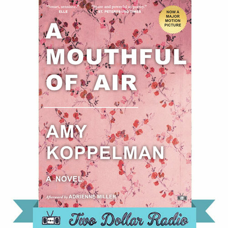 A Mouthful of Air  by Amy Koppelman