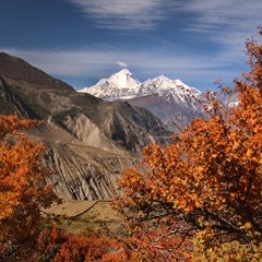 Mountains in autumn