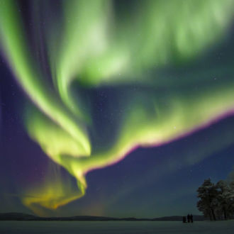 Ondulantes estelas de luz, verdes, amarillas y púrpuras, se extienden por un oscuro cielo invernal.