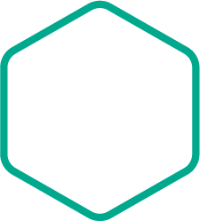 Kaspersky Premium Support (MSA)