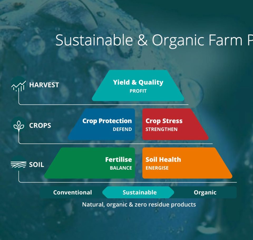 Feature - Sustainable Diagram