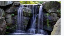 NEW YEAR'S DAY -Unlock the Secrets of North Central Park