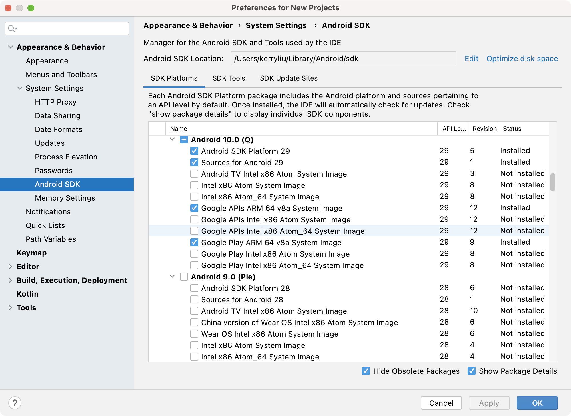 Screenshot of the package manager displaying SDK Platforms.