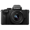 Panasonic Lumix DC-G100 review