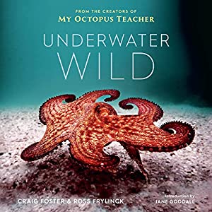 The Underwater Wild: My Octopus Teacher's Extraordinary World
