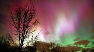 Polarlichter mit roten, weißen und grünen Bändern über Michigan, USA