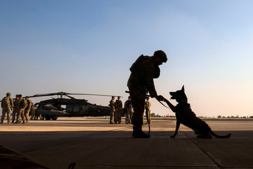 Airman waits with his K-9 partner