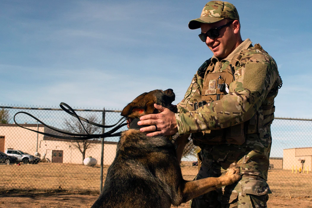 Military Working Dog with handler