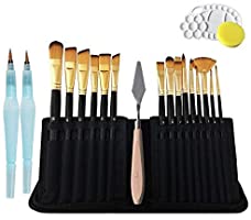20 Pcs Paint Brush Set,Professional Artist Acrylic Paint Brushes with Water Coloring Brush Pen for Acrylic Watercolor...