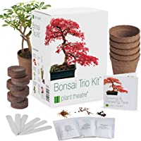 Plant Theatre Bonsai Trio Kit