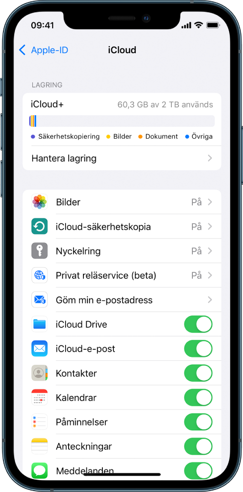 iCloud-inställningsskärmen med mätaren för lagringsutrymmet i iCloud och en lista över appar och funktioner som Mail, Kontakter och Meddelanden som kan användas med iCloud.