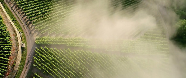 Aerial view of crops seen through clouds