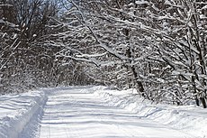 Snowy road Sosonka 2013 G1.jpg