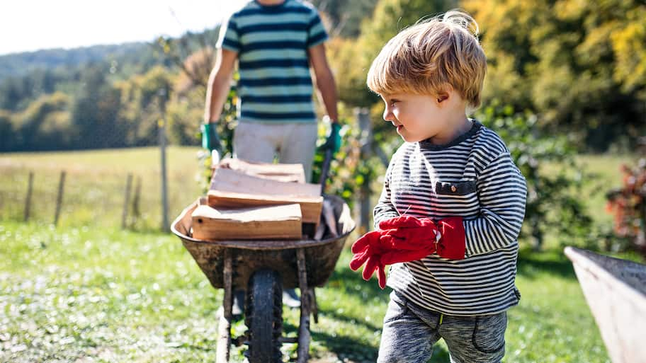 Dad and son moving chopped firewood in wheelbarrow