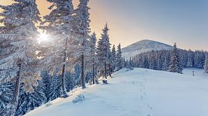 Verschneite Berge und Wald zu Winteranfang