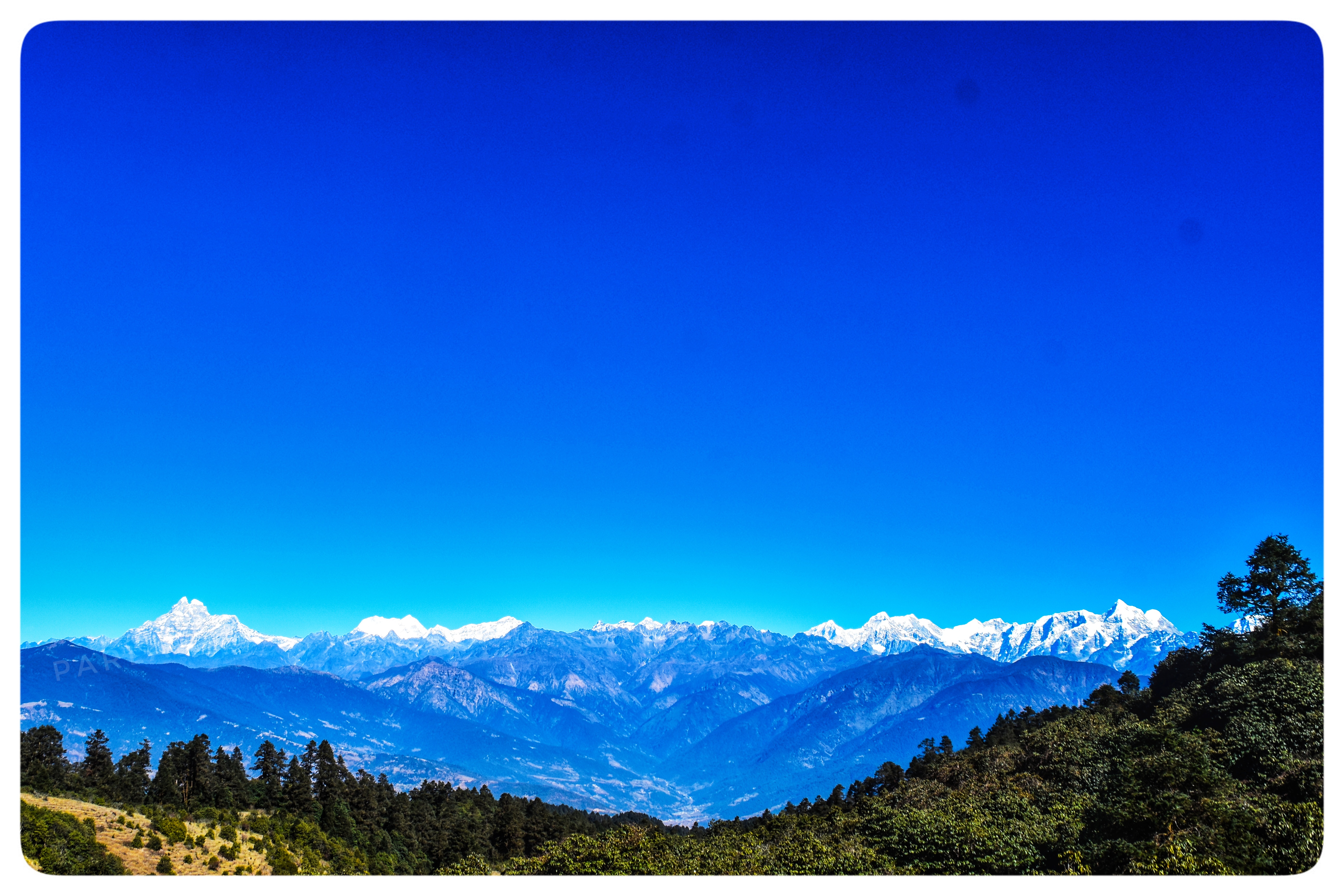 ताँबेडाँडाले लगाएको मोहनी