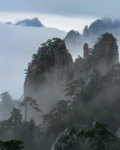 No exaggeration. Those ancient Chinese scroll landscapes were accurate depictions of Huang Shan (Yellow Mountain) a mountain sanctuary in Anhui China. Photo from my book #VanishingAsia #Huangshan #anhui Chinese Scroll, Image Shows, Landscapes, Asia, Scene, Van, Mountains, Yellow, Book